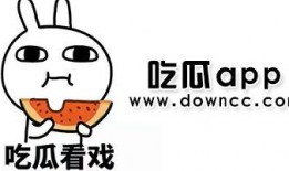 吃瓜网红黑料吃瓜网站,吃瓜网站揭露黑料背后的真相